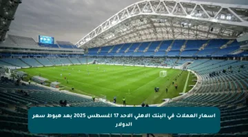 أسعار العملات في البنك الأهلي الأحد 17 أغسطس 2025 بعد هبوط سعر الدولار